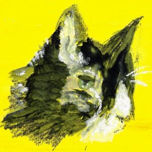 Bertje, don't look me in the eyes